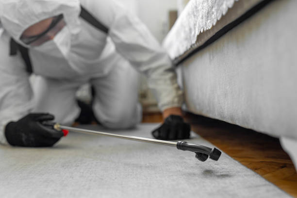 Professional Bed Bug Control technician working in Midland City, AL