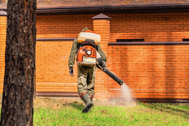 Trusted Termite Control service in Midland City, AL - Nex Pest Control